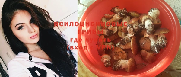 винт Аркадак