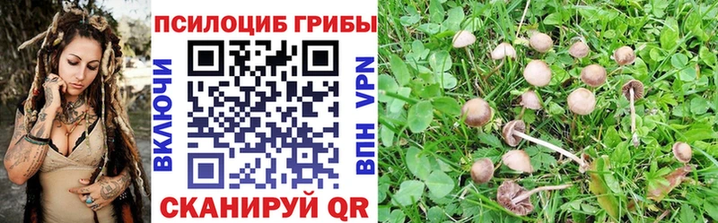 Галлюциногенные грибы ЛСД Мамоново